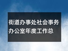 街道辦事處社會(huì)事務(wù)辦公室年度工作總結(jié)