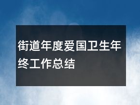 街道年度愛國衛(wèi)生年終工作總結(jié)