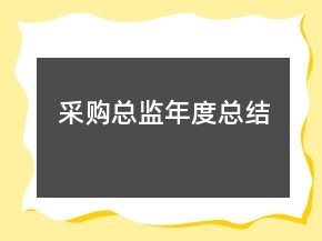 采購總監(jiān)年度總結