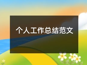 個人工作總結(jié)范文