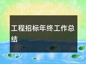 工程招標(biāo)年終工作總結(jié)