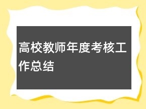 高校教師年度考核工作總結(jié)