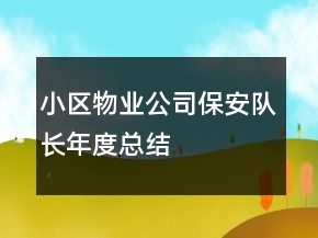 小區(qū)物業(yè)公司保安隊(duì)長(zhǎng)年度總結(jié)