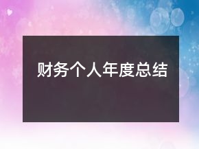 財(cái)務(wù)個(gè)人年度總結(jié)