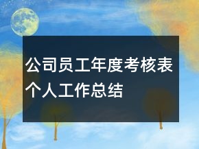 公司員工年度考核表個(gè)人工作總結(jié)