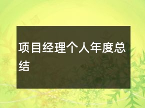項目經(jīng)理個人年度總結(jié)