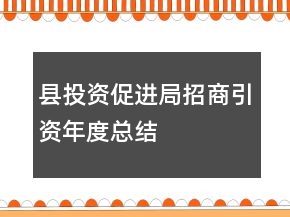 縣投資促進(jìn)局招商引資年度總結(jié)