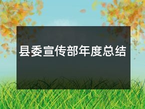 縣委宣傳部年度總結(jié)