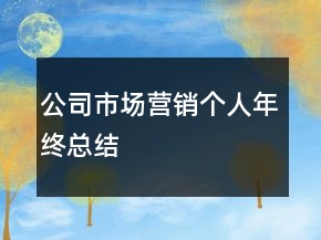 公司市場營銷個(gè)人年終總結(jié)