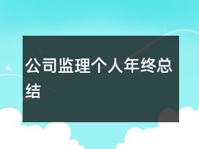 公司監(jiān)理個(gè)人年終總結(jié)