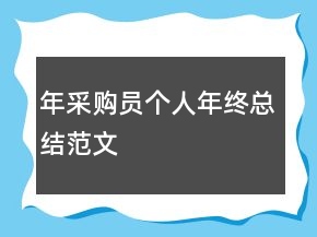 年采購員個人年終總結(jié)范文
