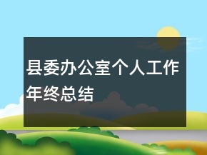 縣委辦公室個(gè)人工作年終總結(jié)
