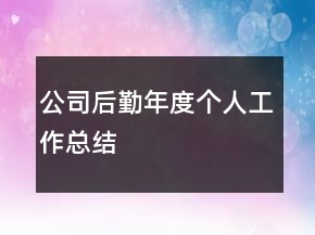 公司后勤年度個(gè)人工作總結(jié)