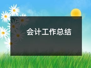 會計(jì)工作總結(jié)