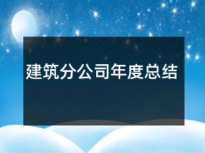 建筑分公司年度總結(jié)