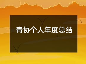 青協(xié)個(gè)人年度總結(jié)
