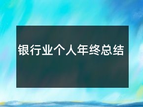 銀行業(yè)個(gè)人年終總結(jié)