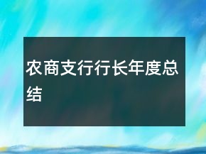 農(nóng)商支行行長年度總結(jié)