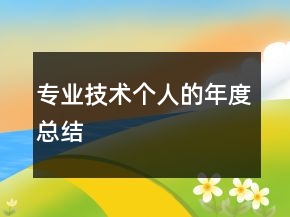 專業(yè)技術(shù)個(gè)人的年度總結(jié)