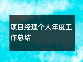 項(xiàng)目經(jīng)理個人年度工作總結(jié)