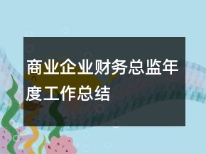 商業(yè)企業(yè)財(cái)務(wù)總監(jiān)年度工作總結(jié)