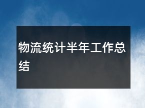 物流統(tǒng)計半年工作總結(jié)
