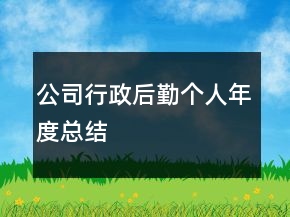 公司行政后勤個(gè)人年度總結(jié)