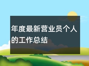 年度最新營業(yè)員個(gè)人的工作總結(jié)
