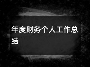 年度財(cái)務(wù)個(gè)人工作總結(jié)