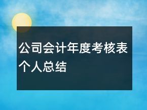 公司會(huì)計(jì)年度考核表個(gè)人總結(jié)