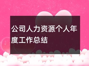 公司人力資源個人年度工作總結