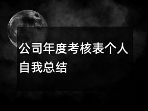 公司年度考核表個(gè)人自我總結(jié)
