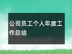 公司員工個(gè)人年度工作總結(jié)