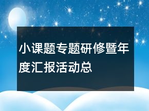“小課題”專題研修暨年度匯報活動總結