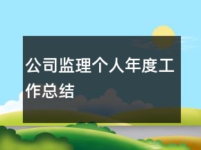 公司監(jiān)理個人年度工作總結(jié)