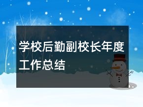 學校后勤副校長年度工作總結