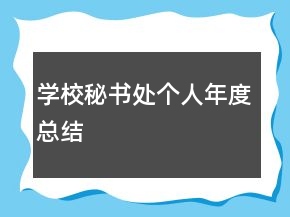 學(xué)校秘書(shū)處個(gè)人年度總結(jié)
