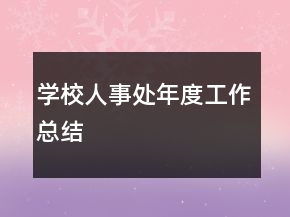 學(xué)校人事處年度工作總結(jié)