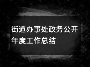 街道辦事處政務公開年度工作總結