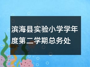 濱?？h實(shí)驗(yàn)小學(xué)學(xué)年度第二學(xué)期總務(wù)處工作總結(jié)