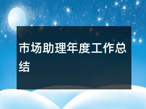 市場(chǎng)助理年度工作總結(jié)