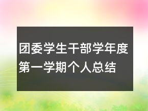 團委學(xué)生干部學(xué)年度第一學(xué)期個人總結(jié)
