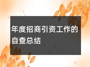 年度招商引資工作的自查總結(jié)