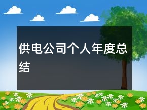 供電公司個人年度總結