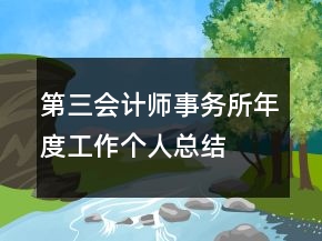 第三會計師事務所年度工作個人總結