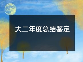 大二年度總結(jié)鑒定