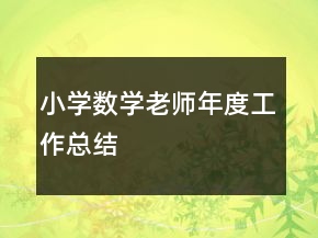 小學(xué)數(shù)學(xué)老師年度工作總結(jié)