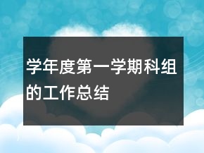 學(xué)年度第一學(xué)期科組的工作總結(jié)