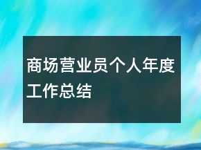 商場營業(yè)員個(gè)人年度工作總結(jié)