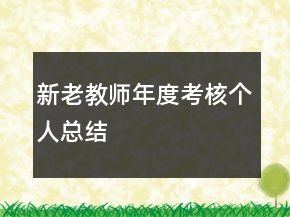 新老教師年度考核個人總結
